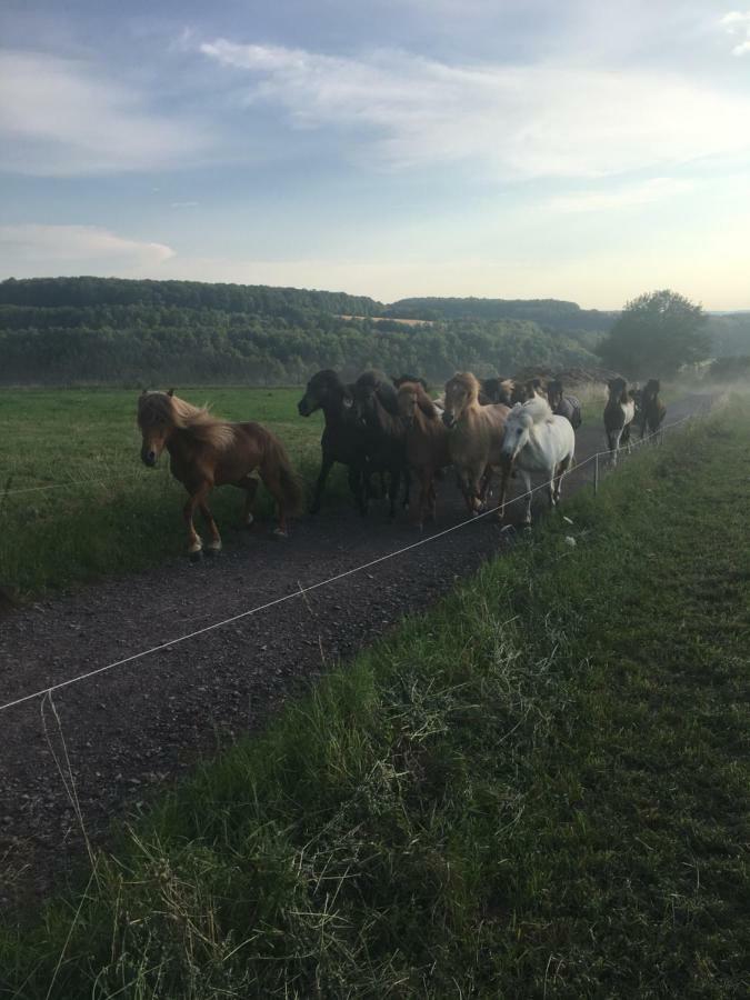 Ferienwohnung Alexa Walshausen Buitenkant foto
